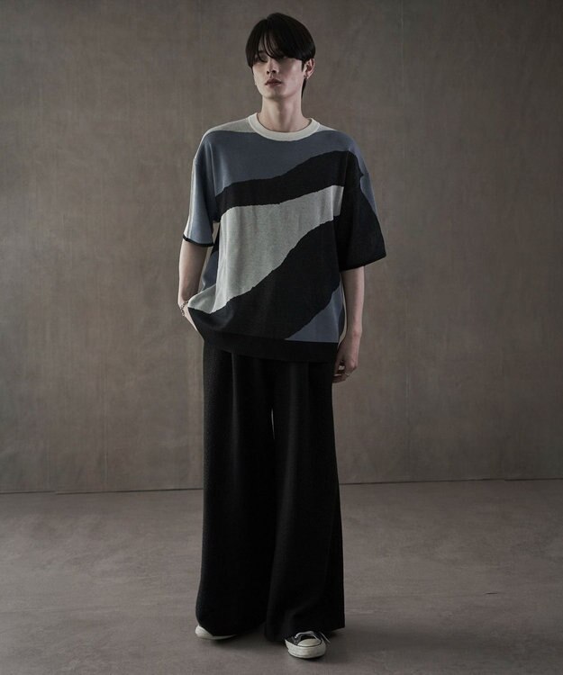 WEGO ジャガードニットT（SS） 柄1