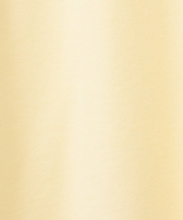 AMERICAN HOLIC カレッジロゴ裏毛プルオーバー Light Yellow