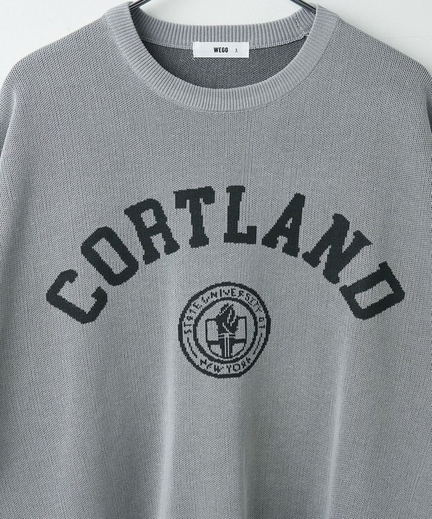 WEGO 【ユニセックス着用ITEM】ジャガードニットプルオーバー（S） グレー