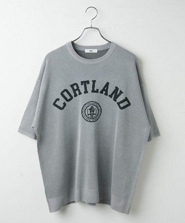 WEGO 【ユニセックス着用ITEM】ジャガードニットプルオーバー（S） グレー