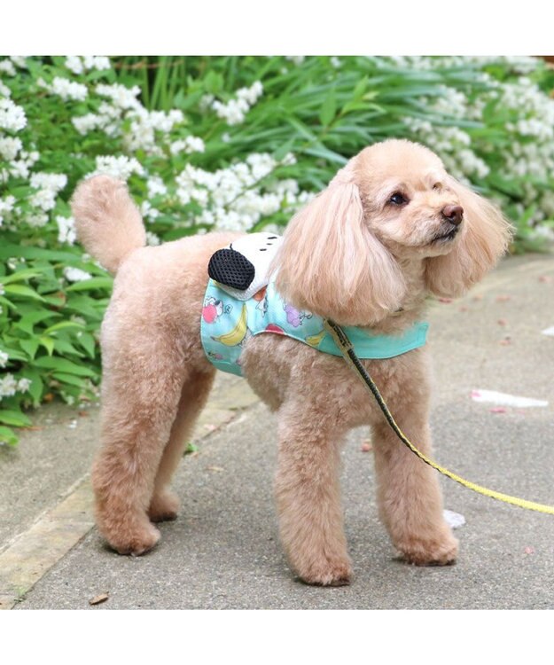 PET PARADISE スヌーピー クールベスト 《果物柄》 小型犬 果物柄