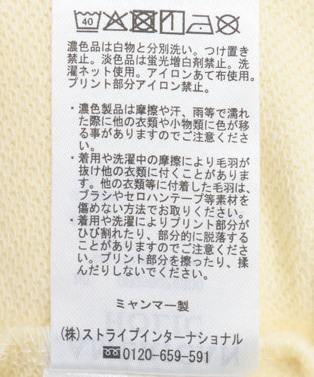 AMERICAN HOLIC カレッジロゴ裏毛プルオーバー Light Yellow