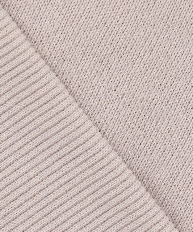 ANY SIS フレンチスリーブロゴ スウェット ローズグレー