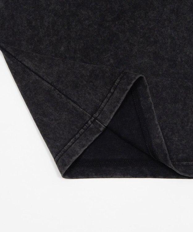 WEGO 【ユニセックス着用ITEM】スリーブラインロゴBIG　T（SS） ブラック