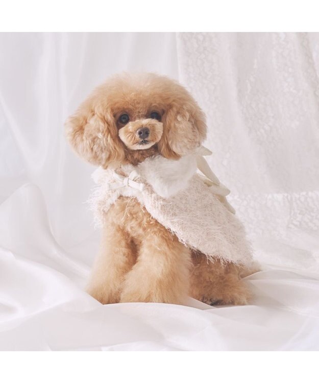 PET PARADISE cherircouture キラキラポンチョ 小型犬 ホワイト