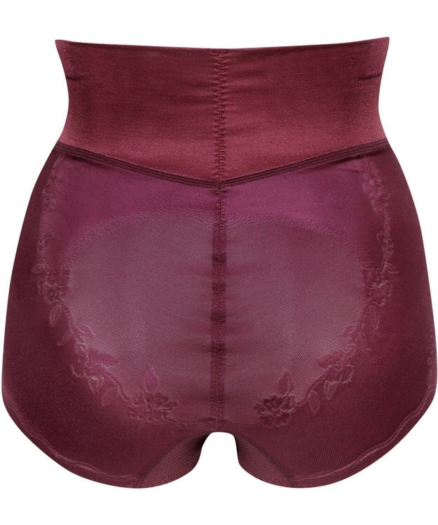 Wing ガードル 【ハミデンヌ】 ウエストのハミ肉すっきりカバー ショート丈 KQ2585 ウイング／ワコール エンジ