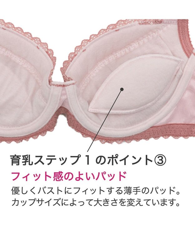 BRADELIS New York 【BRADELIS New York】ジャスミンステップ1ブラ23A2 幅広ワイヤーでしっかりお肉を集めて谷間を作る補整ブラ ピンク
