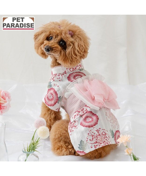 PET PARADISE ペットパラダイス 菊柄 浴衣 桃 小型犬 ホワイト×ピンク
