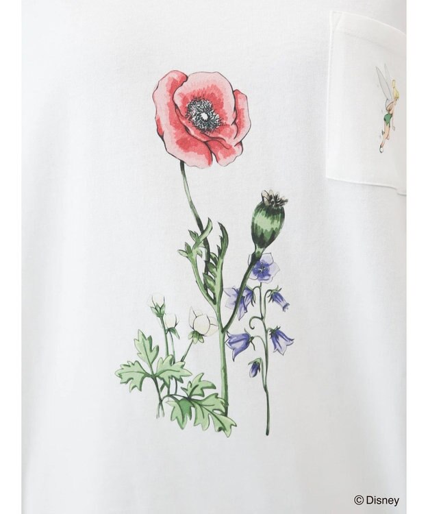 Green Parks ピーター・パン／ポケットＴｅｅ A