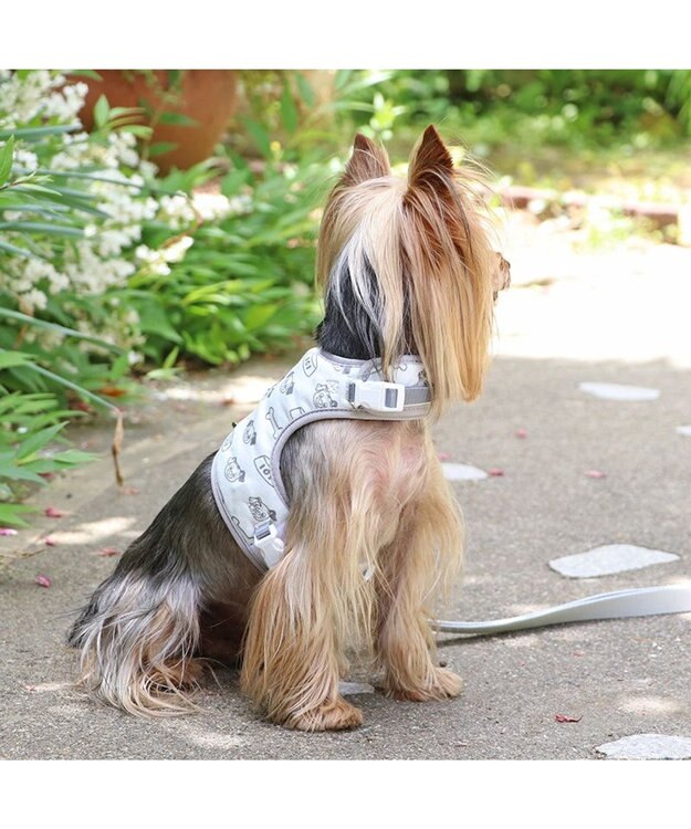 PET PARADISE ディズニー 101匹わんちゃん 保冷剤ポケット付き ハーネス ３Ｓ 小型犬 保冷剤付