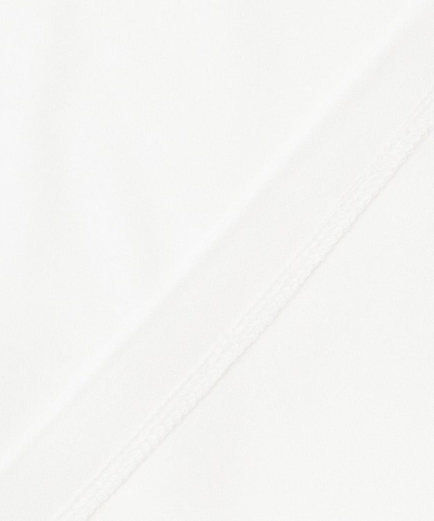 23区 【エステータ】スーピマコットン プレミアムジャージー 半袖Tシャツ ホワイト系