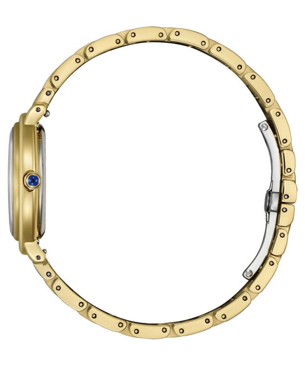 CITIZEN 【生命力あふれる美しい水（AQUA）を表現限定モデル】電池交換不要 光発電エコ・ドライブ ARCLY Collection EM1099-57L ゴールド