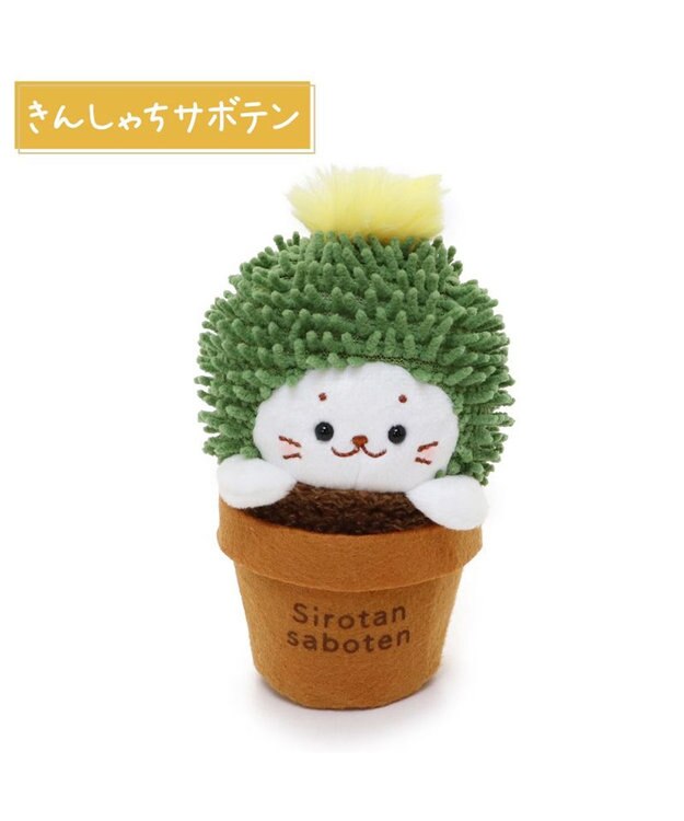 Mother garden しろたん サボテン マスコット 《きんしゃちサボテン》 きんしゃちサボテン