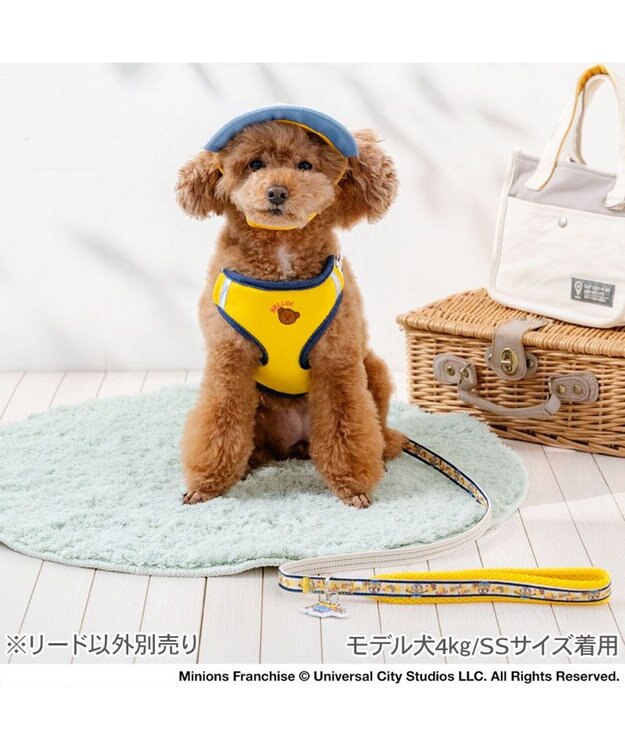 PET PARADISE ミニオン ボブ柄 リード ４Ｓ～３Ｓ イエロー