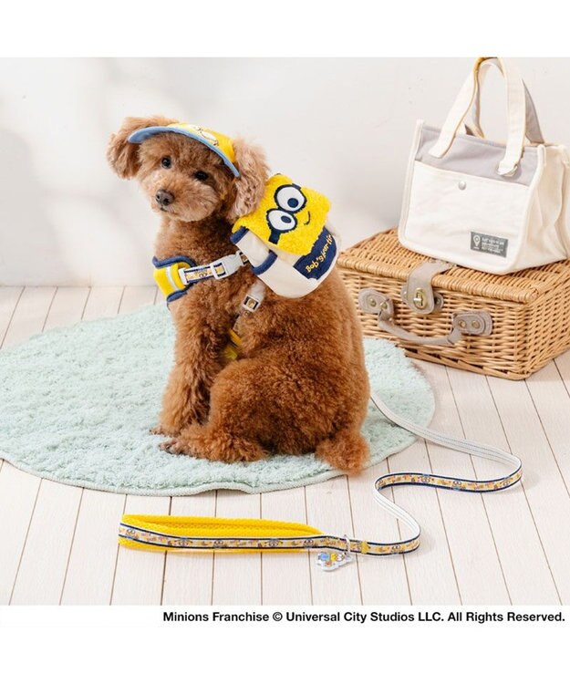 PET PARADISE ミニオン ボブ柄 リード ４Ｓ～３Ｓ イエロー