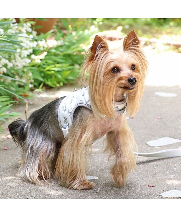 PET PARADISE ディズニー 101匹わんちゃん  保冷剤ポケット付き ハーネス ＳＳ 小型犬 保冷剤付