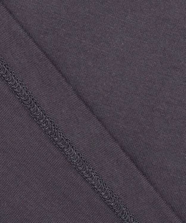 ANY L フロッキーロゴフレンチスリーブTシャツ チャコール