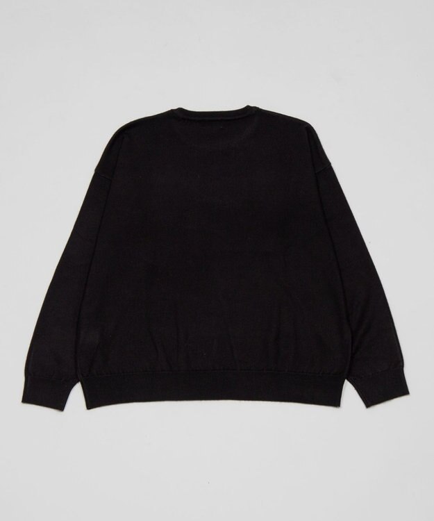 WEGO アクセ付きワンポイントニットプルオーバー（LS） ブラック