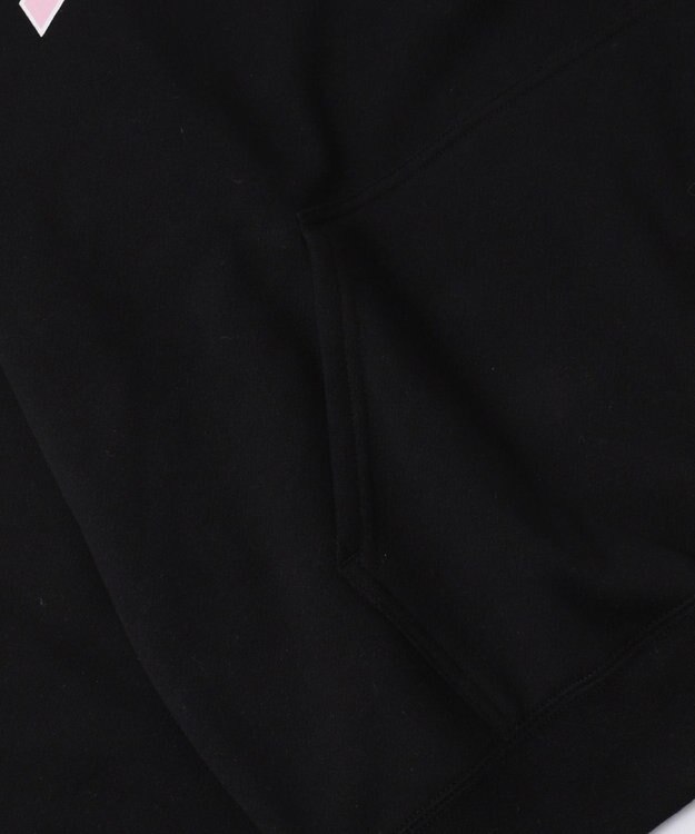 WEGO 【ユニセックス着用ITEM/MLサイズ展開】カレッジプルパーカー ブラック