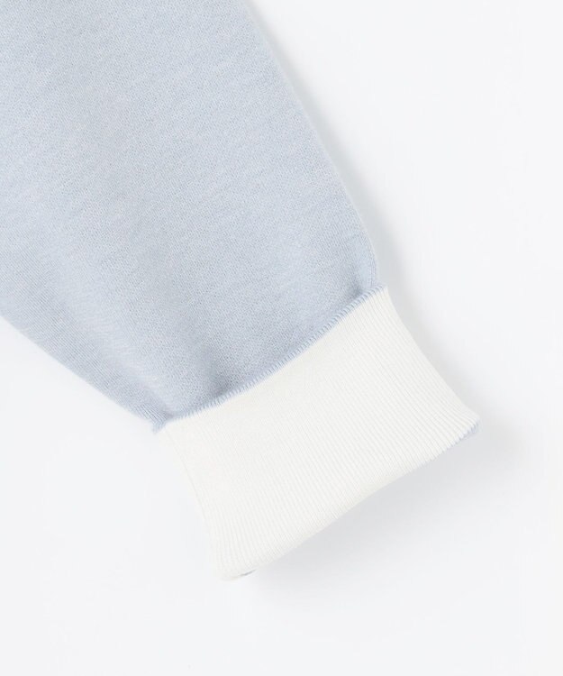 自由区 S 【カタログ掲載】スムージーラグランスリーブ ニット ライトブルー