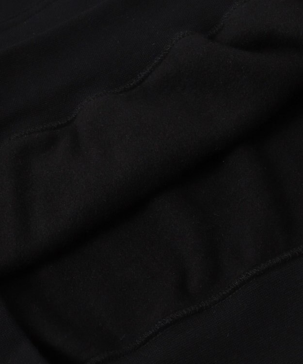 WEGO 【ユニセックス着用ITEM/MLサイズ展開】カレッジプルパーカー ブラック