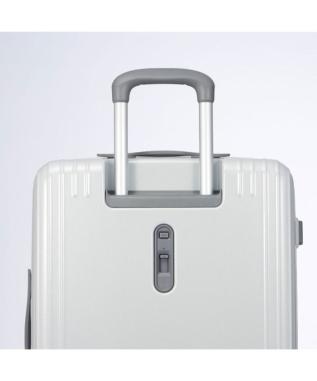 ACE BAGS & LUGGAGE ace. エース パリセイド3-Z 06917 スーツケース ジッパータイプ エキスパンダブル 33~41リットル ホワイトカーボン