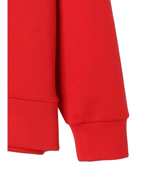 Green Parks ベイマックス／ワンポイントワッペンパーカー Red