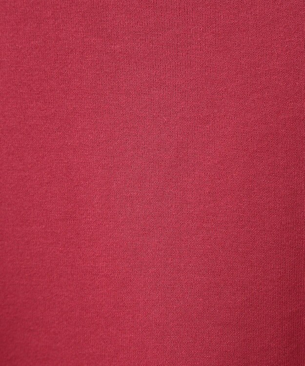 earth music&ecology アソートロゴスウェット Red