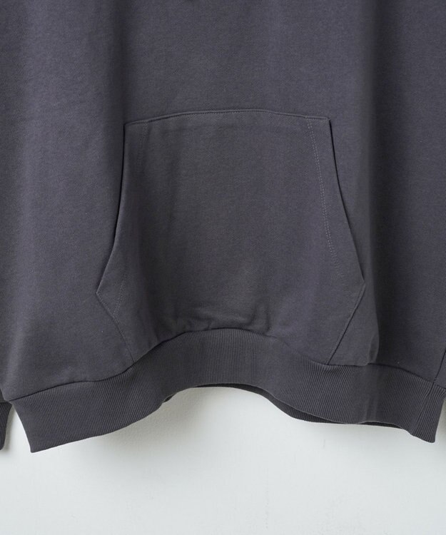 WEGO ヘビーウエイトサガラカレッジプルパーカー スミクロ