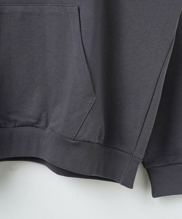 WEGO ヘビーウエイトサガラカレッジプルパーカー スミクロ