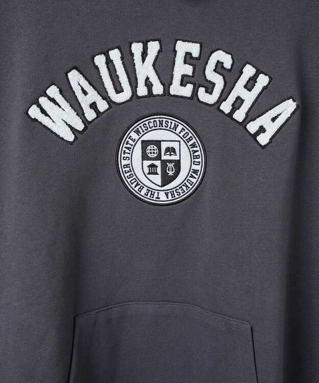 WEGO ヘビーウエイトサガラカレッジプルパーカー スミクロ