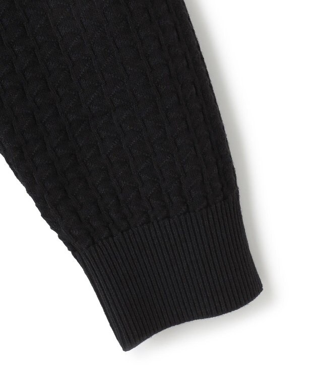 JOSEPH HOMME 【WEB限定】ヴィスコースリンクス　ハーフジップニット ブラック系