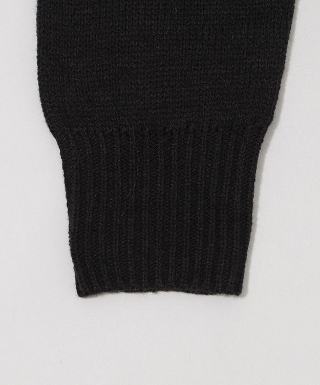 WEGO 【新色追加】別注USPOLOWZIPニットPK ブラック