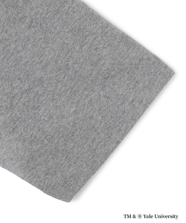 J.PRESS YORK STREET 【YALE別注】【UNISEX】カレッジロゴ Tシャツ ライトグレー系