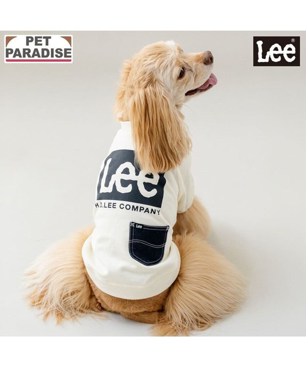 PET PARADISE Lee ボックスロゴ トレーナー ホワイト 中型犬 大型犬 ホワイト