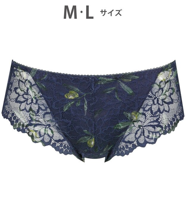 WACOAL サニタリーショーツ 【GOCOCi ゴコチ】 「普通~多い日」に対応 後ろまでしっかりカバー 羽付きナプキン対応 総レース 生理用ショーツ はきこみ丈あさめ レディース PGG198 /ワコール コン