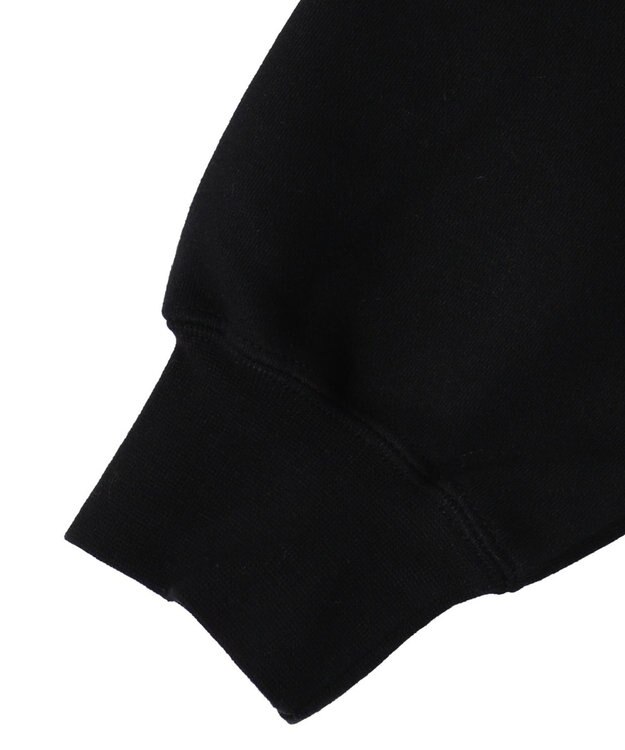 WEGO BENDAVISブリッジグラフィックプルパーカー ブラック