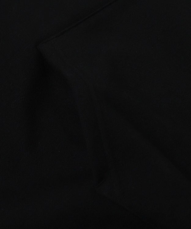 WEGO BENDAVISブリッジグラフィックプルパーカー ブラック