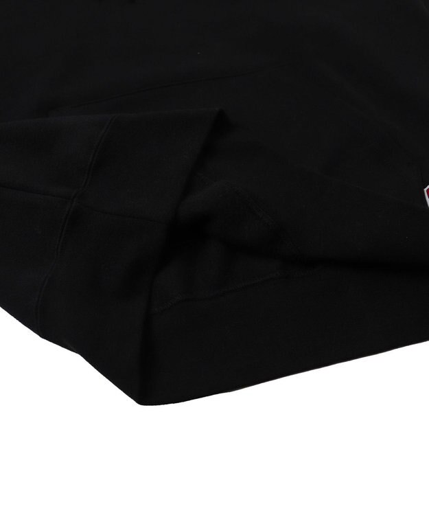 WEGO BENDAVISブリッジグラフィックプルパーカー ブラック