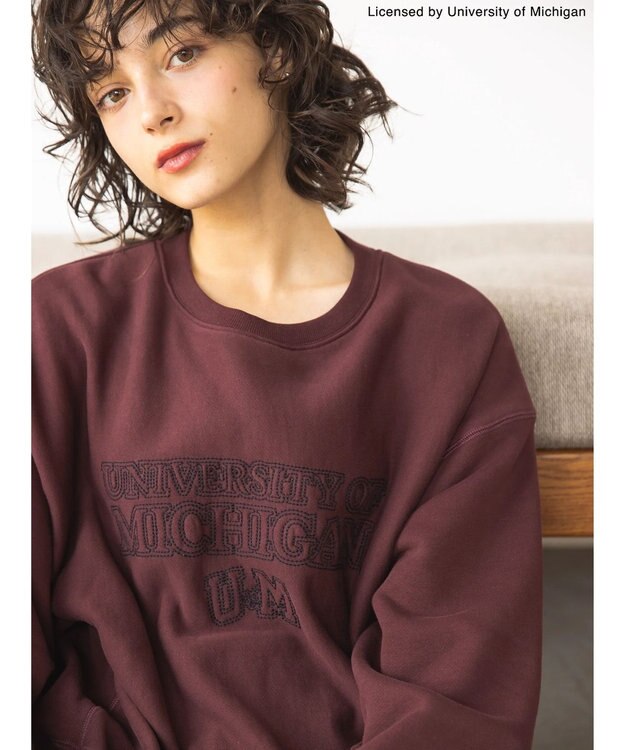 AMERICAN HOLIC Ｍｉｃｈｉｇａｎ　Ｕｎｉｖｅｒｓｉｔｙ　スウェット Bordeaux