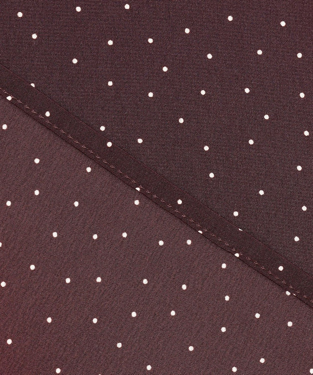 J.PRESS LADIES 【洗える】フェミニッシュパウダー dots ボウタイ ブラウス ワイン系5