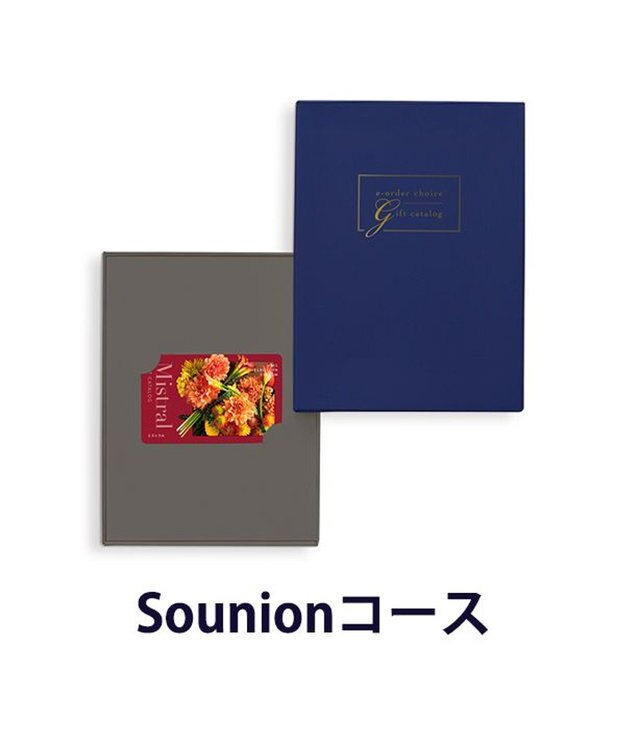 antina gift studio Mistral(ミストラル) e-order choice(カードカタログ) ＜Sounion(スーニオン)＞ -