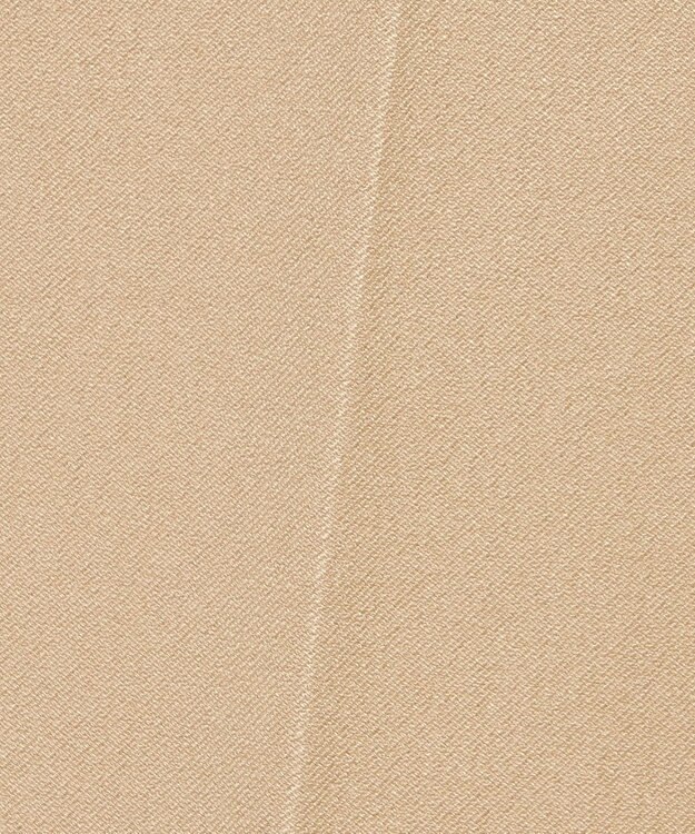 JOSEPH ギャバジンストレッチ YUKIO Powder