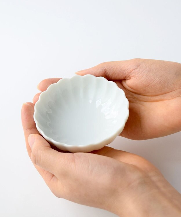 たち吉 【たち吉】白菊珍味入〈５個〉美濃焼 ホワイト系その他