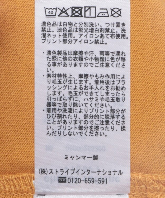 Green Parks 多段フェミニンロゴボックスＴシャツ Orange