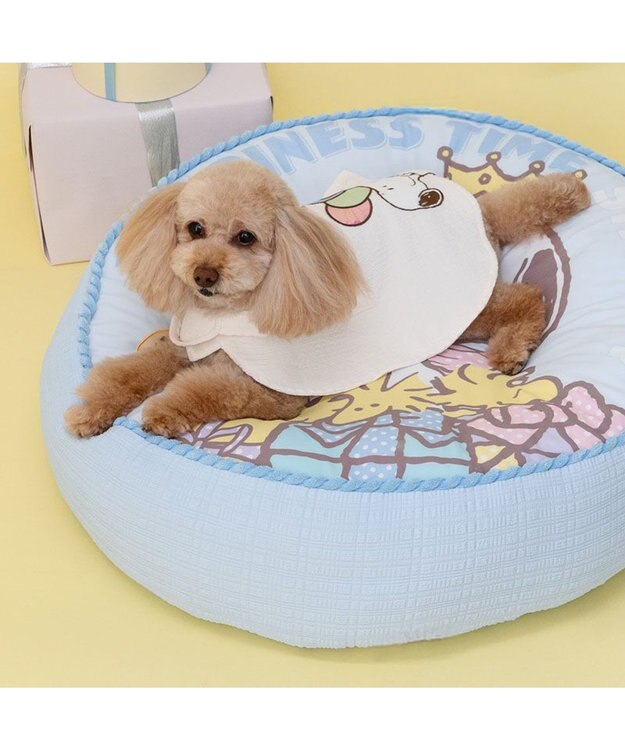 PET PARADISE スヌーピー バースデー ポンチョ 小型犬 オフホワイト
