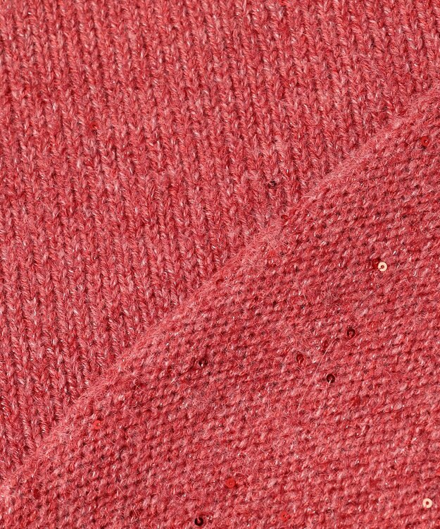 ANY L スパンコールニット レッド