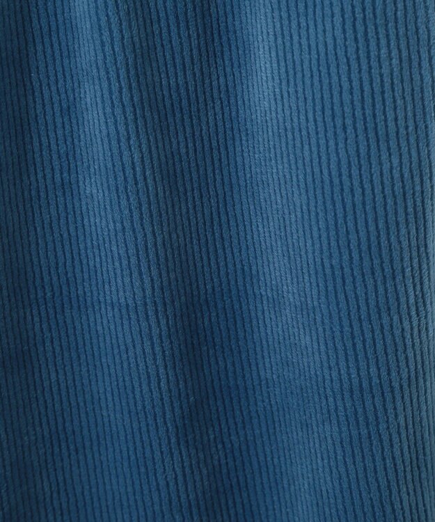 Green Parks ぽかぽか裏起毛ベロアイージーパンツ Blue