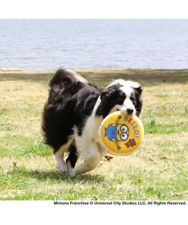 PET PARADISE 犬 おもちゃ ミニオン フライングディスク M (直径22cm) 黄
