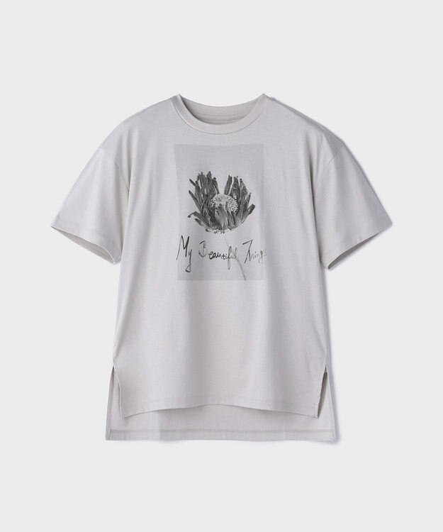 GRACE CONTINENTAL カットフォトTシャツ グレー